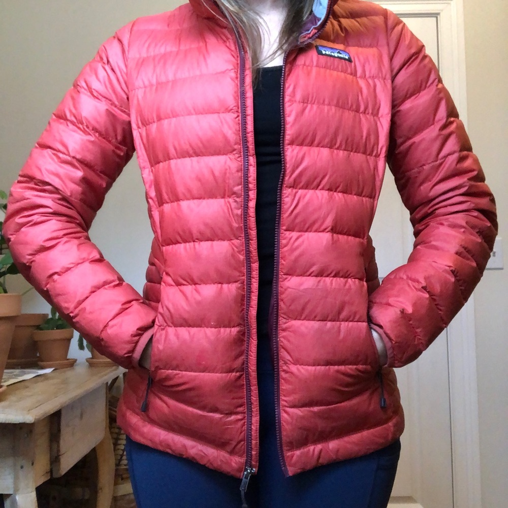 Red puffer